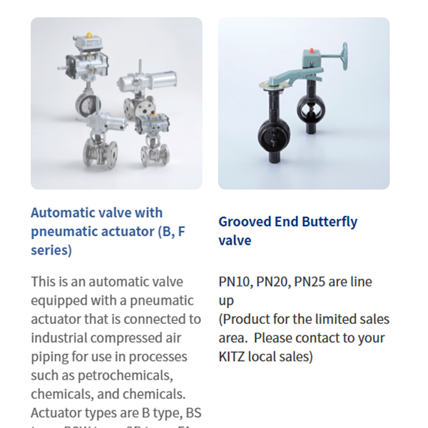 KITZ日本開滋閥門、10K電動蝶閥EXS100-10DJUE-300A