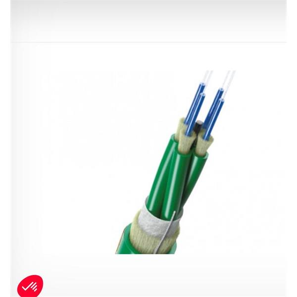 英國(guó)Scaime 2合1力傳感器K1882 系列