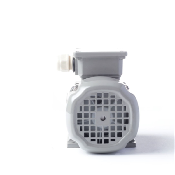 德國AC MOTOREN防火防爆電機E3-ASA 90 SB 4