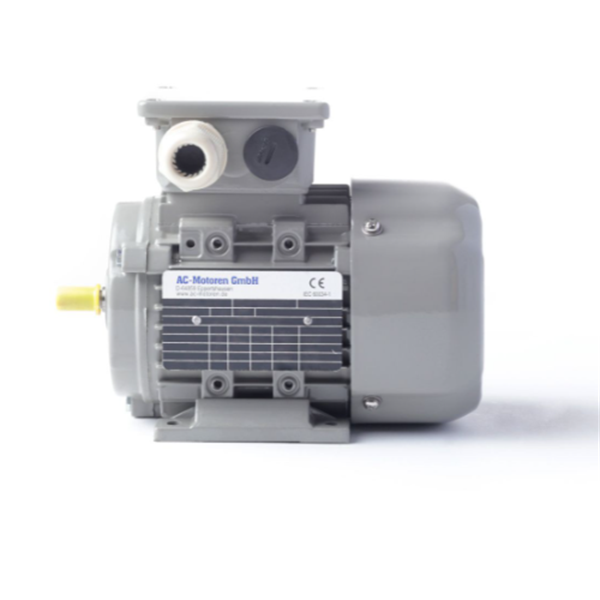 德國AC MOTOREN防火防爆電機E3-ASA 90 SB 4